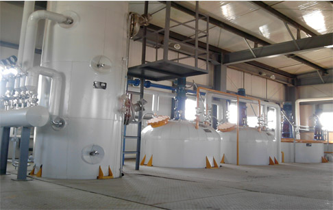 Edible oil refinery plant