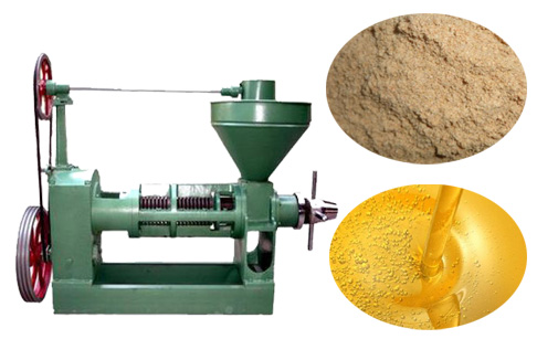 Rice bran oil mechanical compression process