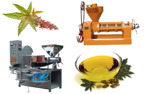 castor oil extraction machine