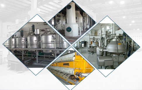 rice bran oil manufacturing plant