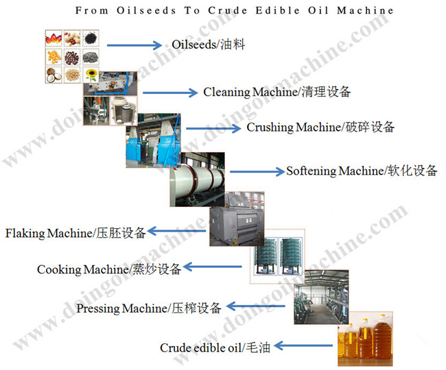 oil seed processing machine
