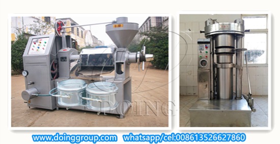 cooking oil pressing machine