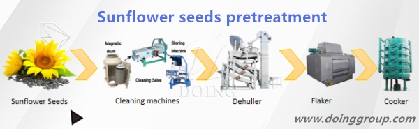 sunflower oil manufacturing process