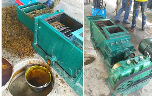 1TPH double screw palm oil press operation feedback video from Nigerian customers