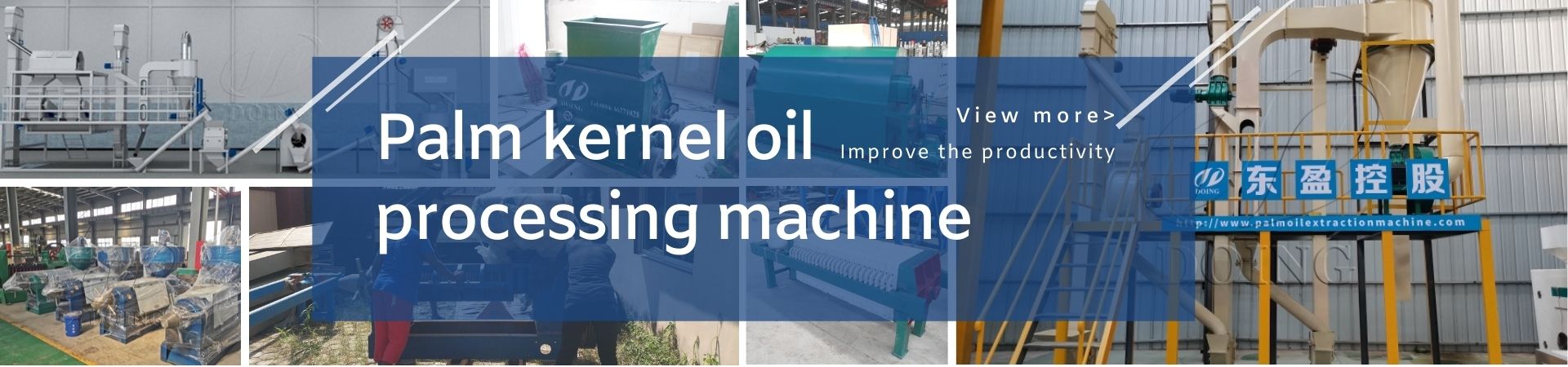 palm kernel oil processing machine